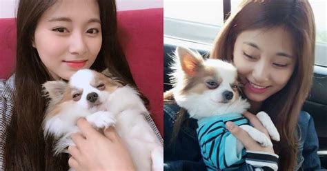 twice gucci dog|TWICE Tzuyu’s Famous Pet Dog Gucci Has Passed Away.